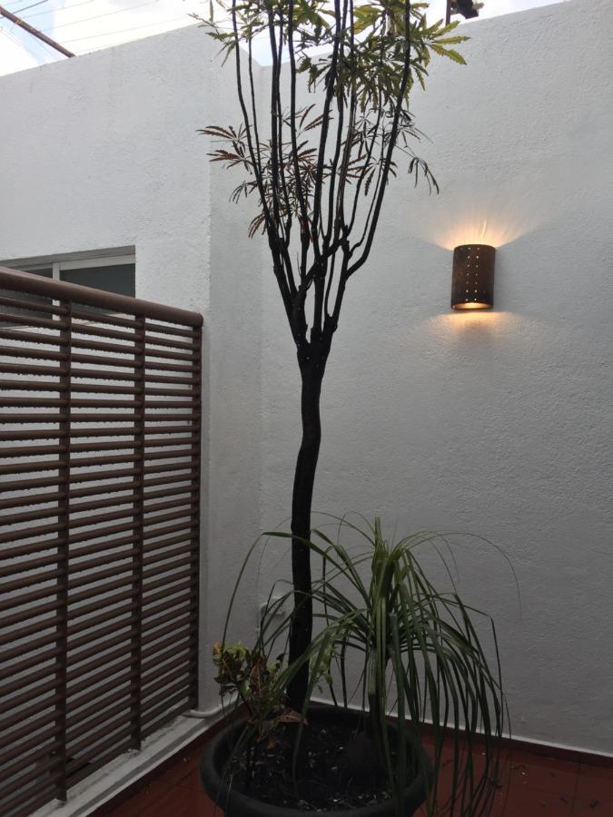Residence Las Trojes Cdmx Mexico by Eksteriør bilde